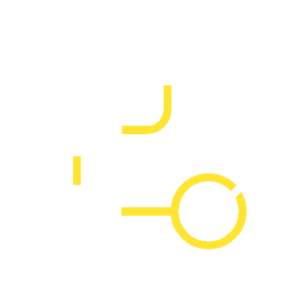 Action Plan